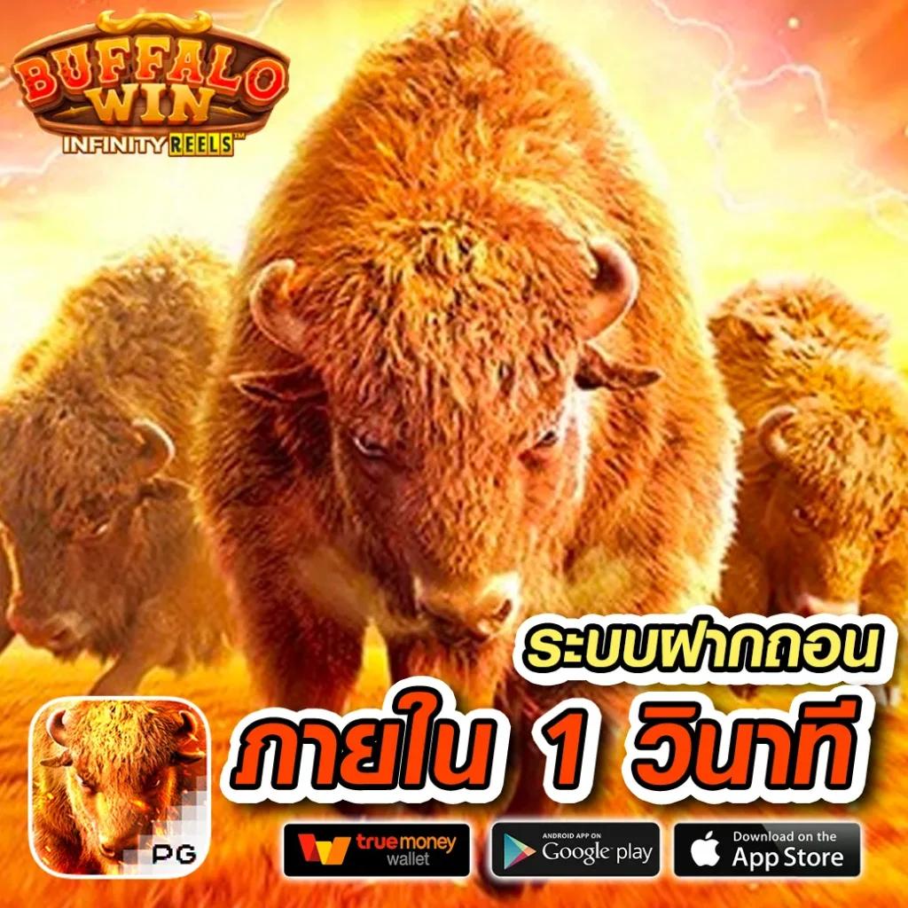 mybet88 เว็บตรง สล็อต ฝากถอนออโต้ ไม่ผ่านเอเย่นต์ 2026