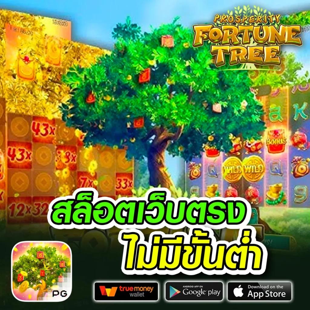 spinbet99 เว็บตรง สล็อต ฝากถอนออโต้ ไม่ผ่านเอเย่นต์ 2026